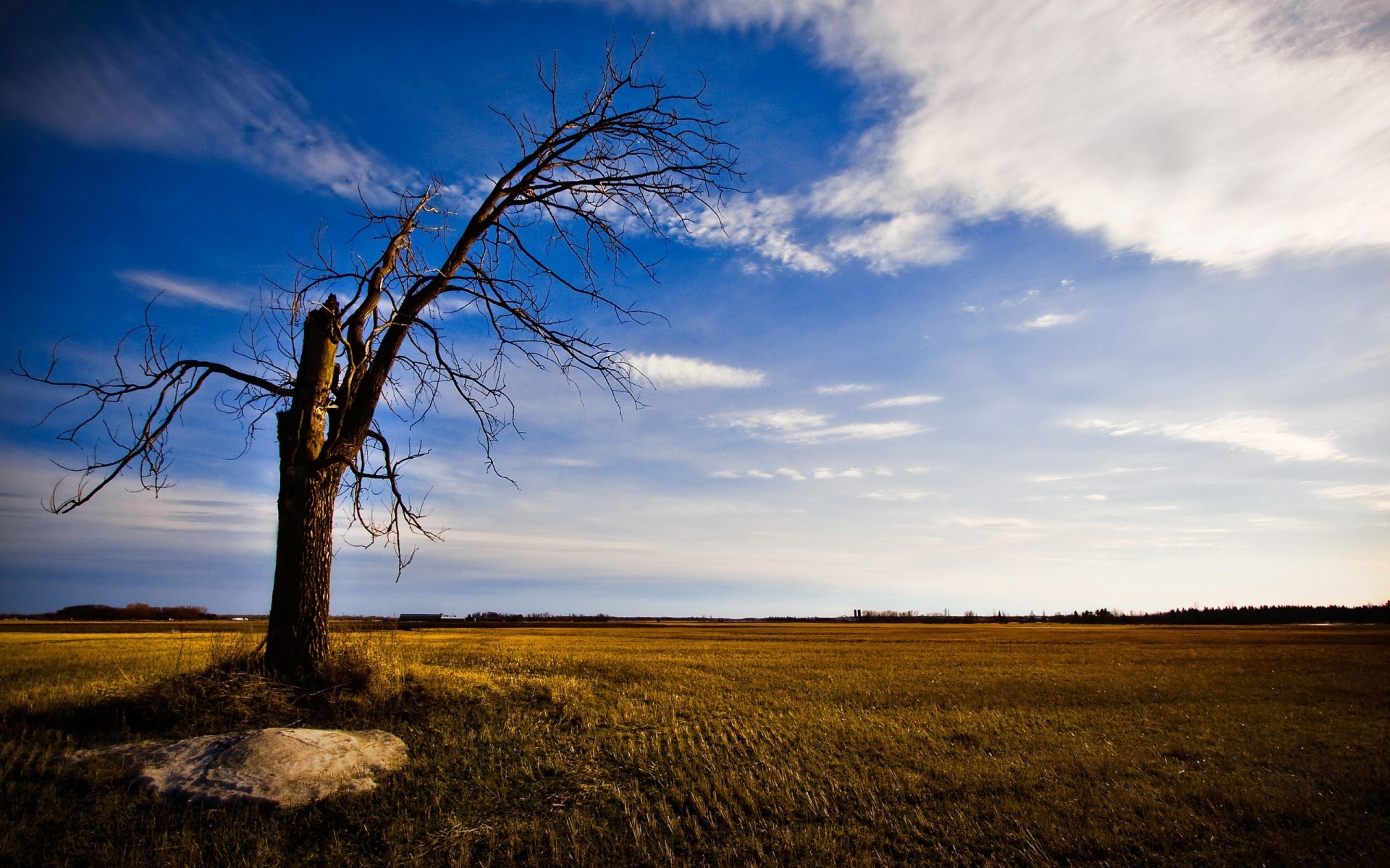 landscapes landscape sunset nature sky tree dawn fall sun outdoors light field grass fair weather wood evening rural background