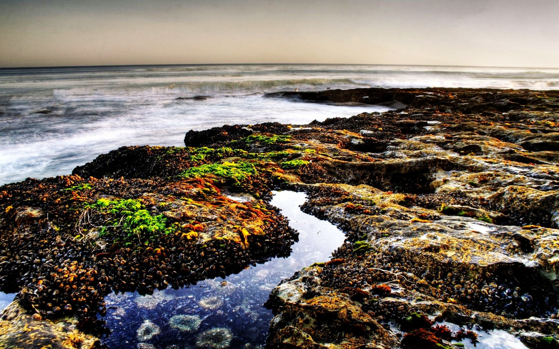 paisagens água pôr do sol mar praia oceano mar paisagem paisagem viagens céu crepúsculo natureza amanhecer noite surf ao ar livre areia rocha costa fundo verão