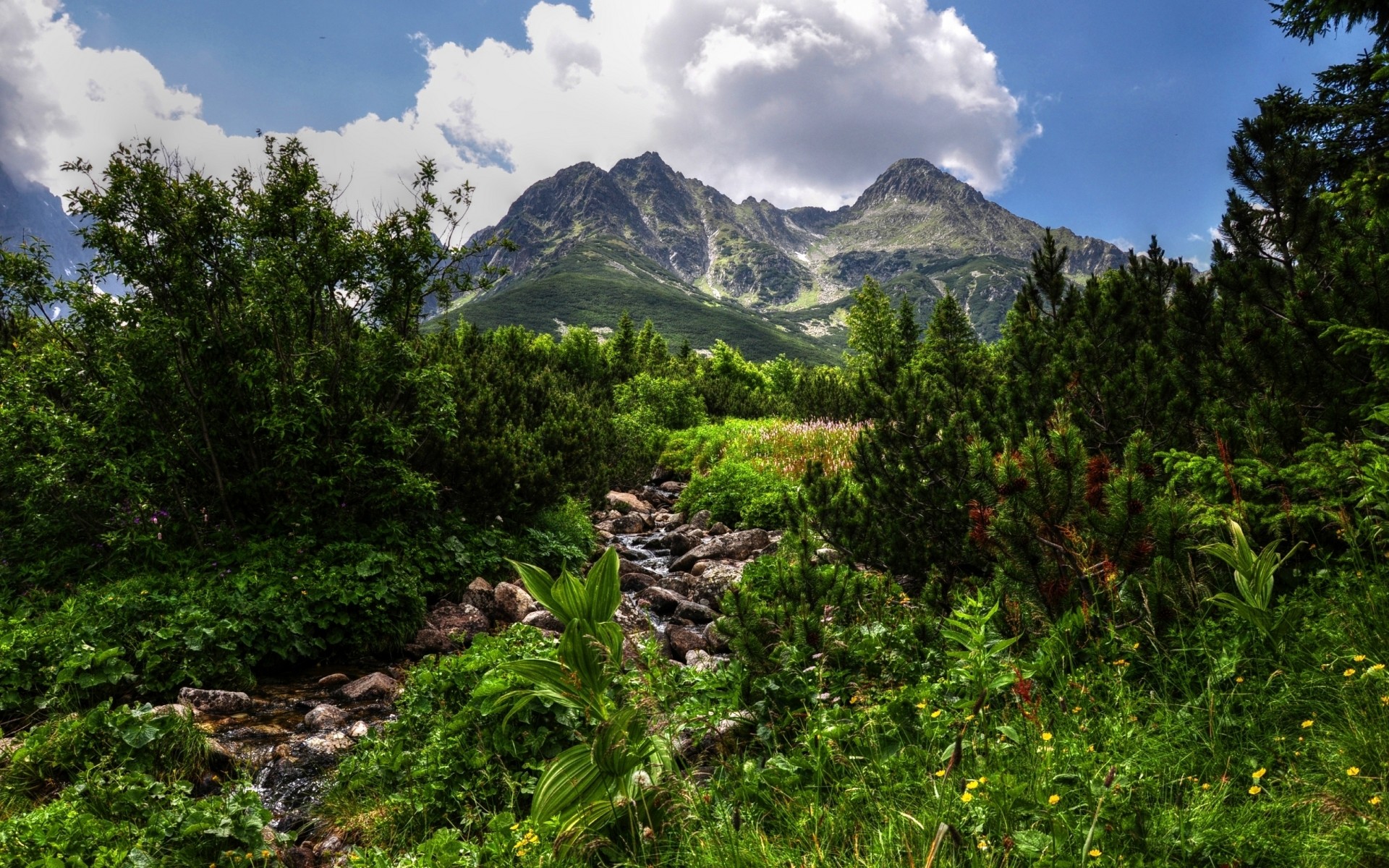 paysage montagnes voyage nature paysage à l extérieur bois ciel bois scénique été vallée colline lumière du jour rock printemps rivière forêt source vert