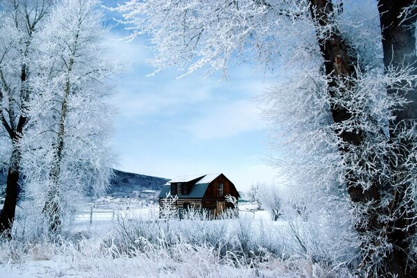 Invierno en el país. La belleza de la temporada