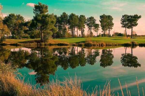 The surrounding world in the lake reflection