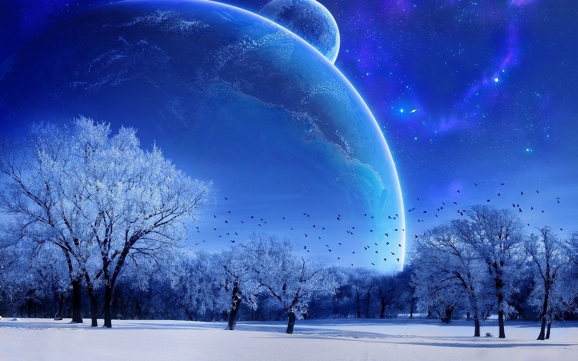 landscapes winter snow weather landscape cold nature tree light sky moon bright trees planet