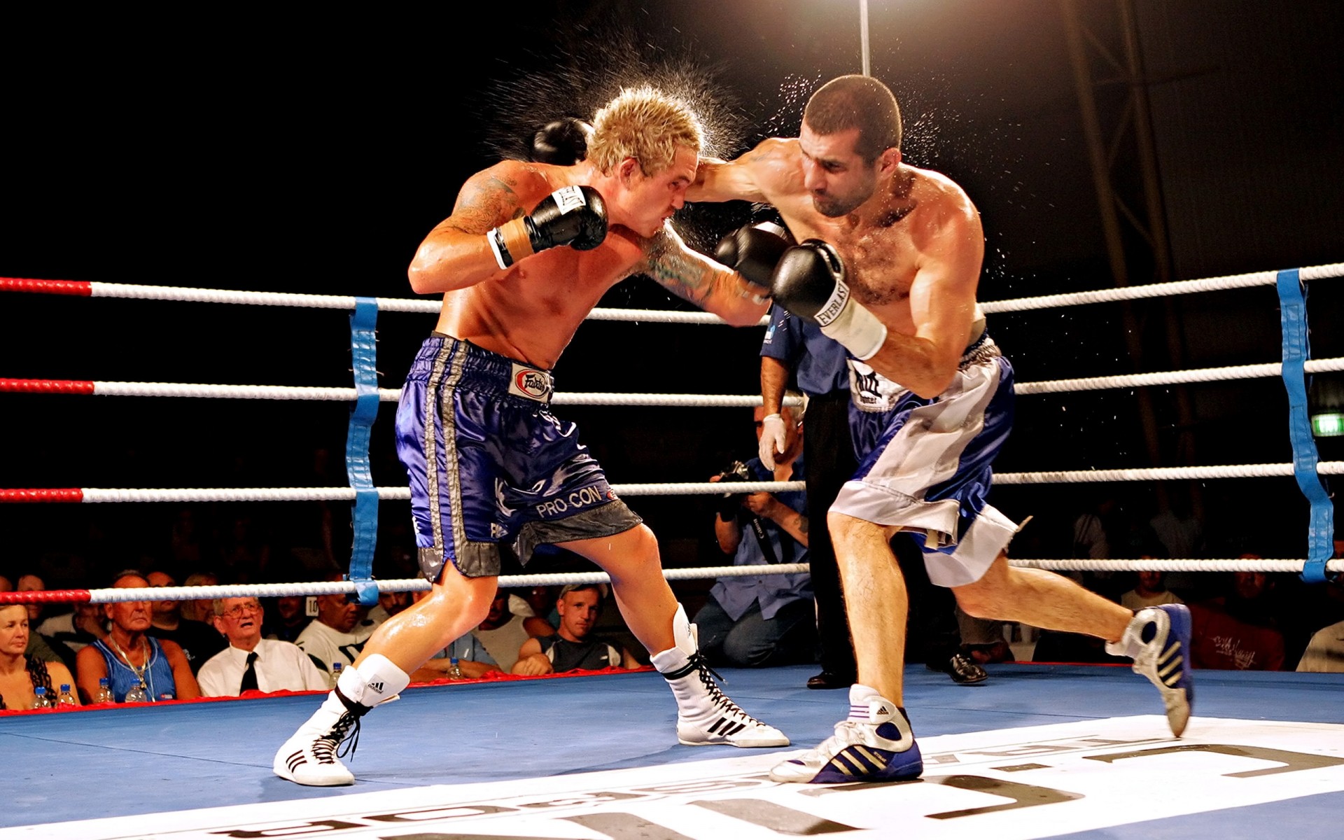 boxe pugilista competição soco combate agressão lutador luvas nocaute força atleta adulto homem combate ação poder forte clique artes marciais bater luta