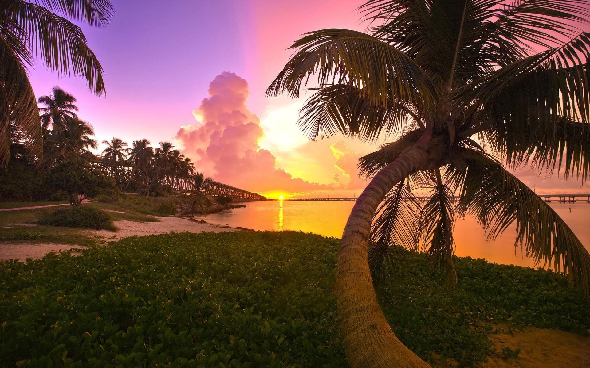 landscapes palm beach tropical tree seashore coconut sun exotic island sunset travel resort summer ocean nature vacation sand paradise sky clouds