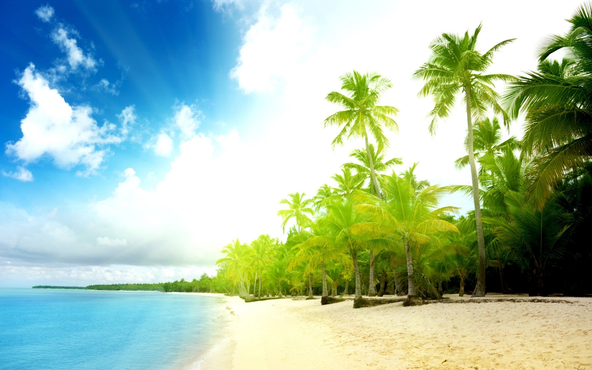 landschaft tropisch strand sand sommer sonne reisen idylle meer palmen resort kokosnuss wasser paradies exotisch urlaub insel natur ozean baum gutes wetter meer palmen