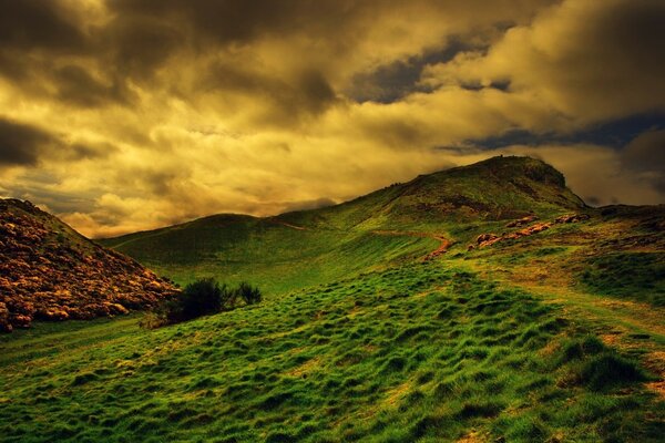 Collines verdoyantes. Coucher de soleil