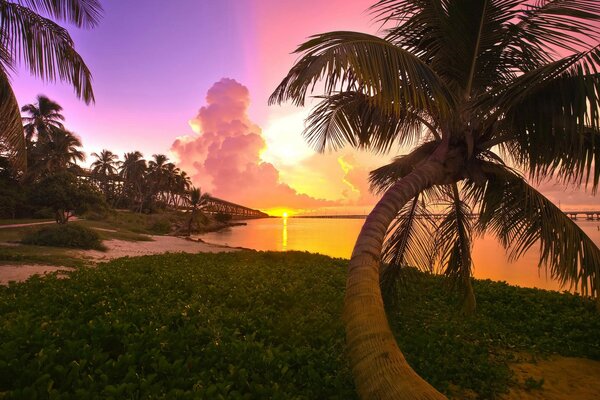 Тропічний пляж осяває Захід Сонця
