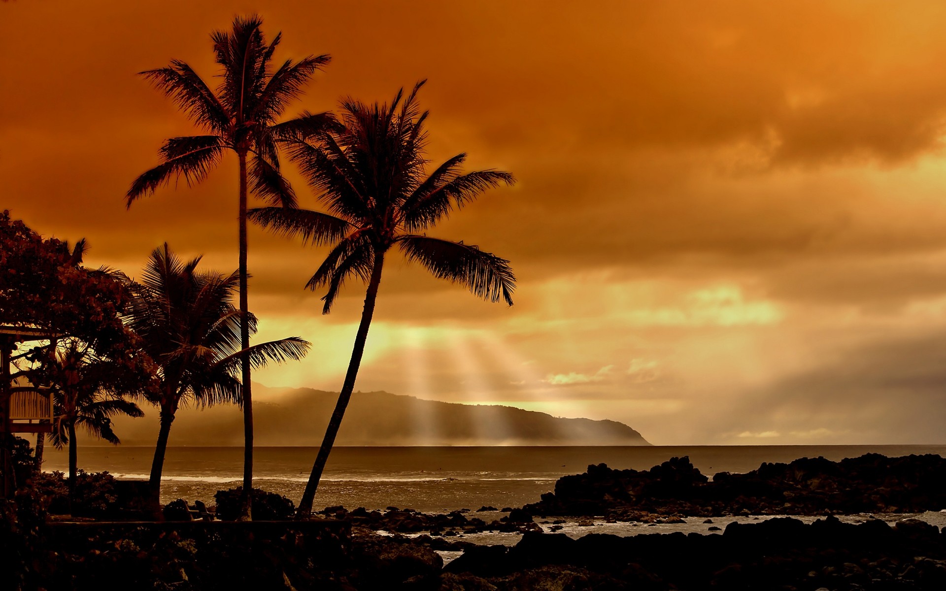 paysage plage coucher de soleil soleil océan aube paysage mer eau tropical île mer rétro-éclairé silhouette sable soir crépuscule ciel beau temps paume palmyre