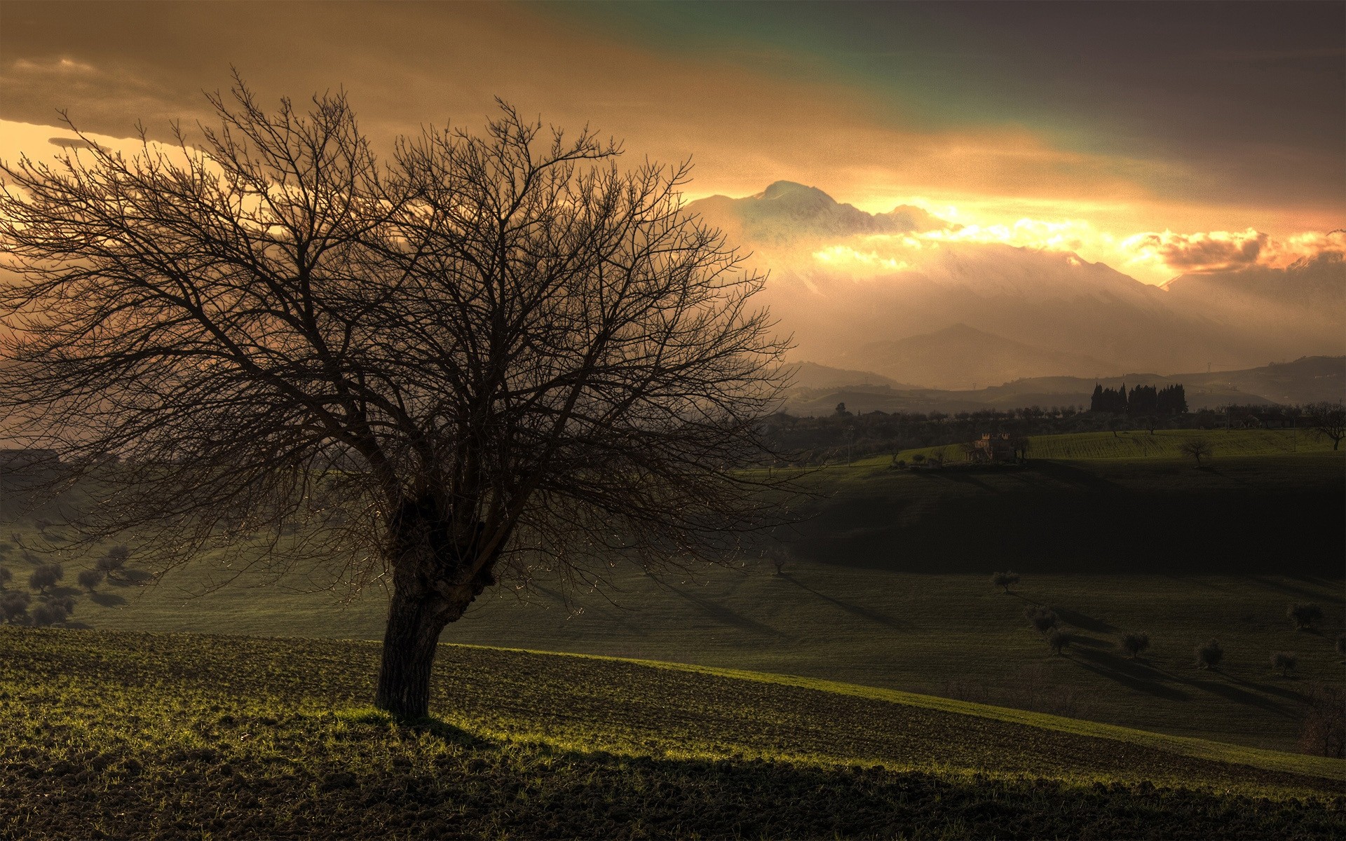 autunno tramonto alba paesaggio albero sera natura autunno nebbia sole cielo luce crepuscolo nebbia all aperto campo bel tempo alberi montagna nuvole