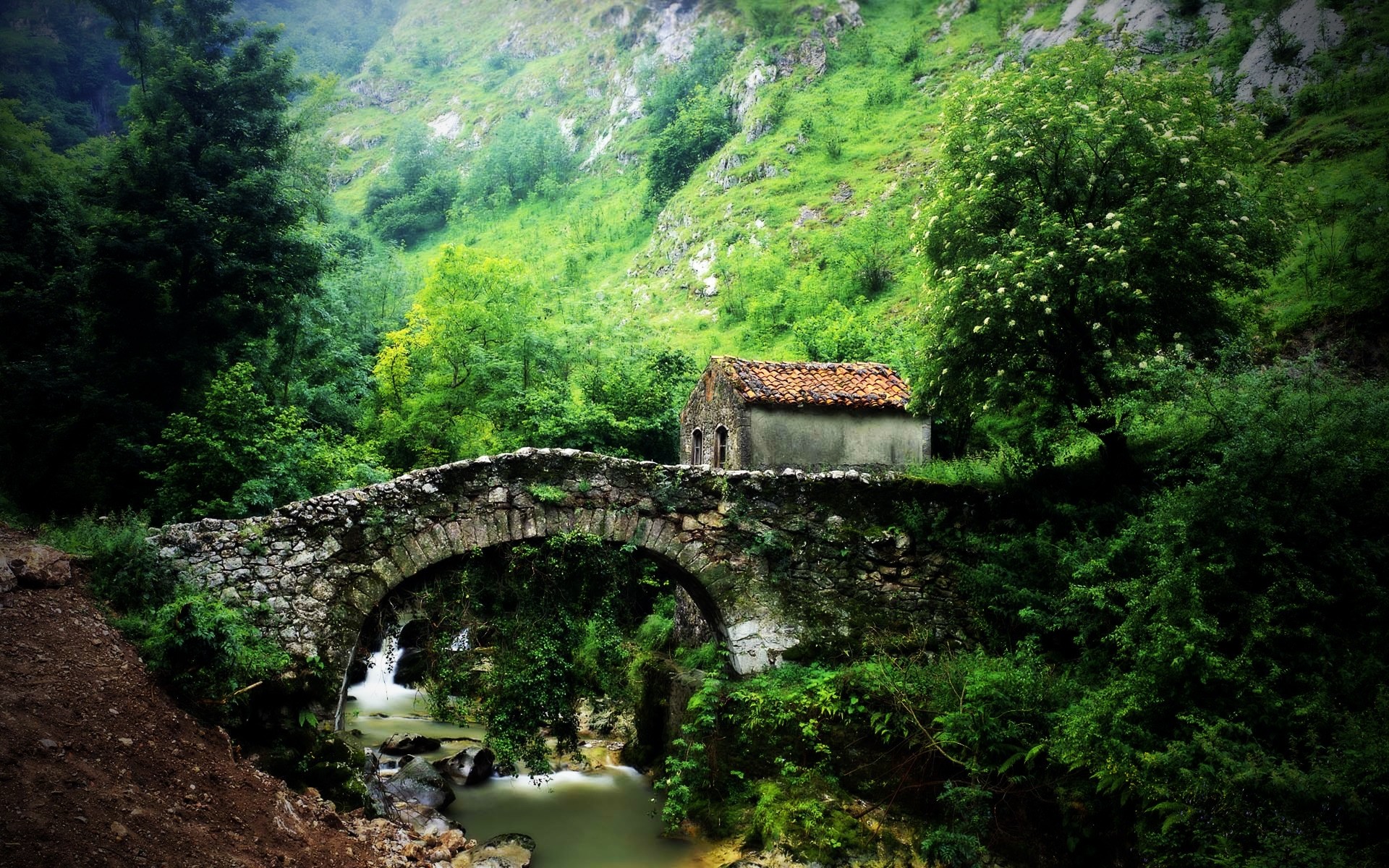 paesaggio viaggi paesaggio montagna legno natura pietra acqua albero ponte fiume scenic roccia turismo all aperto estate architettura erba