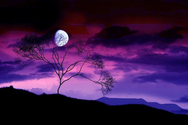 La Luna detrás de un árbol en el cielo nocturno
