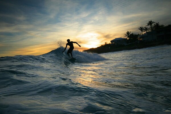 A man in the sea on the background of sunset