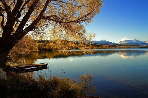 Autumn landscape on the lake shore