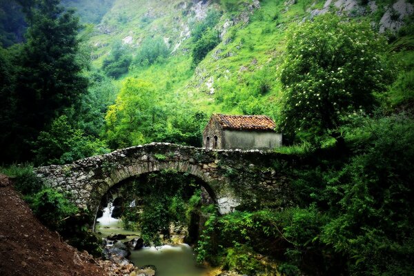 Häuschen in der Nähe von Brücke und Hügeln