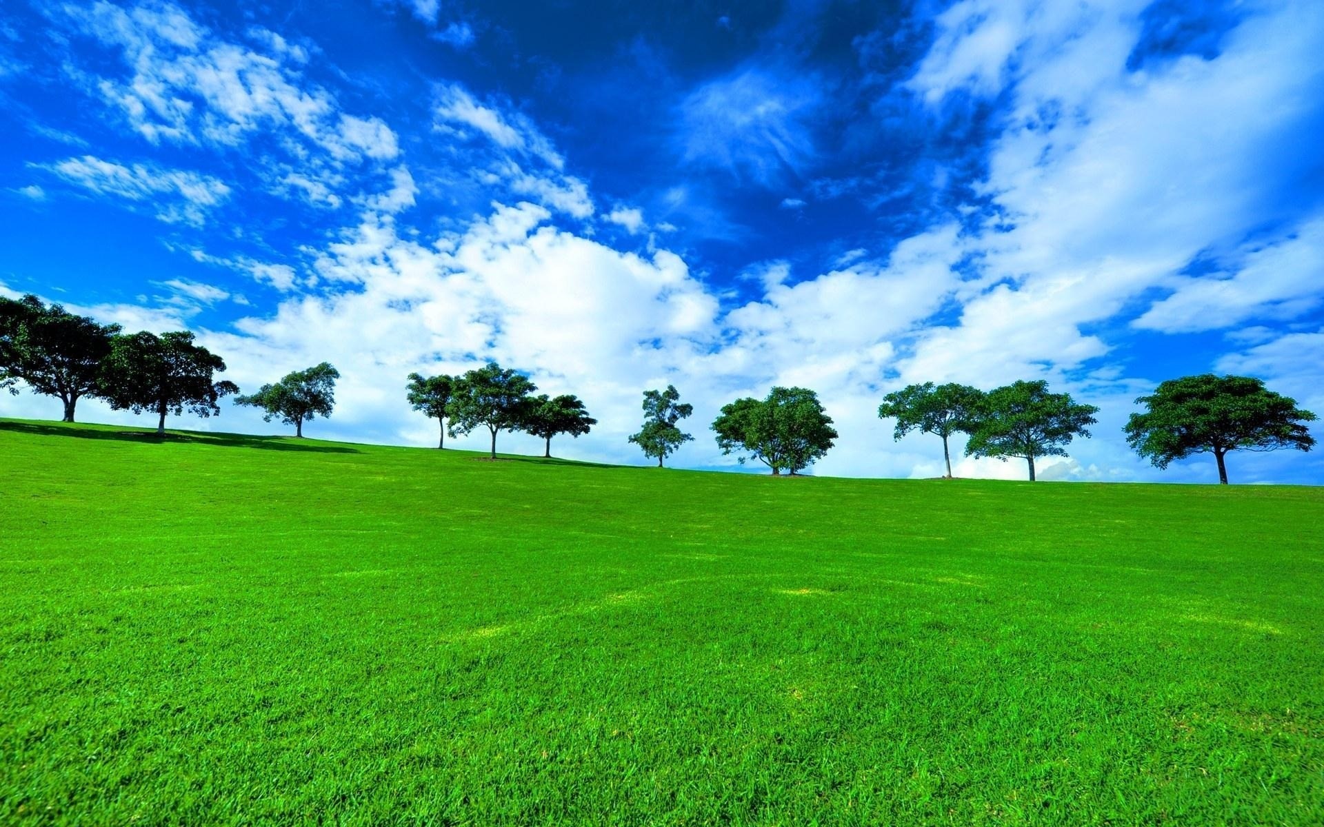 paisagens grama paisagem gramado natureza feno campo verão rural sol idílio bom tempo horizonte céu campo árvore pasto fundo primavera