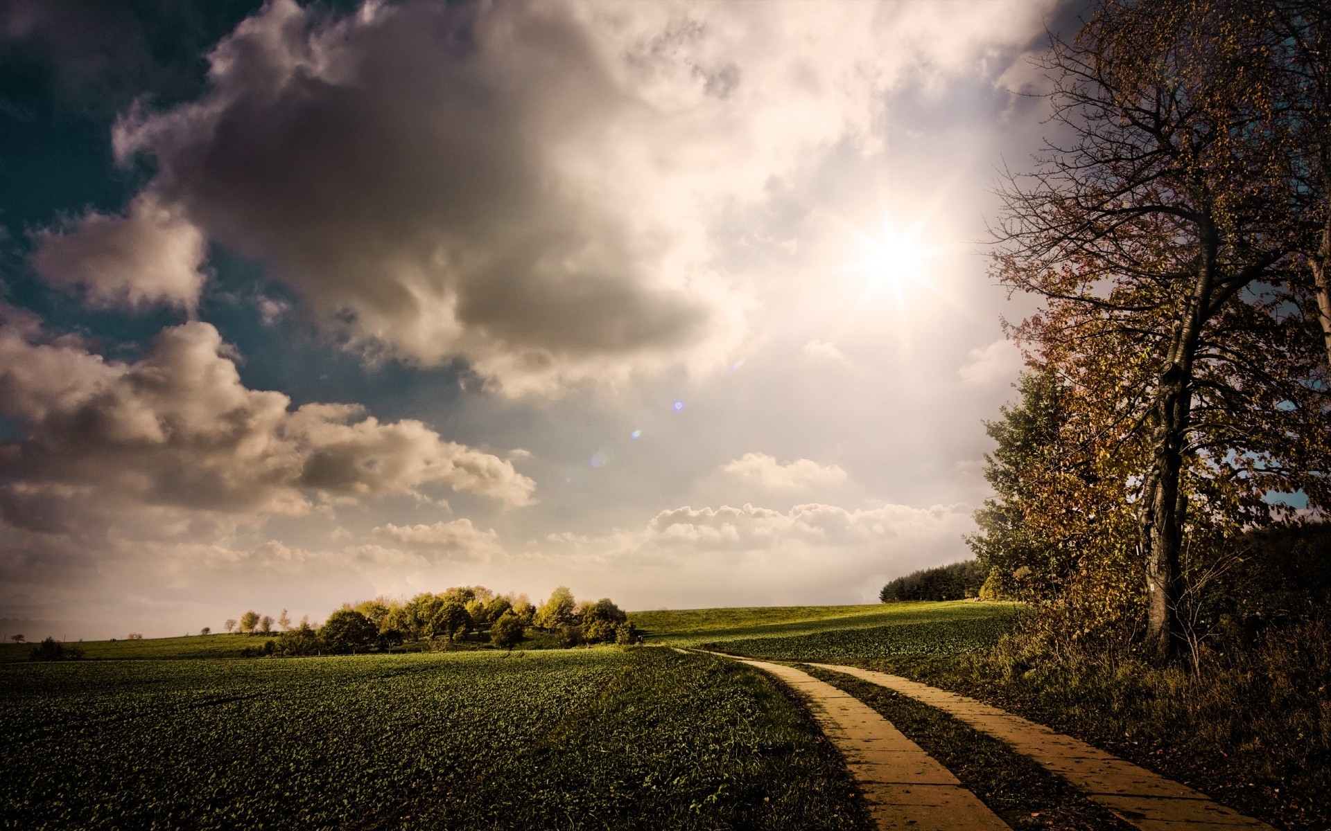 herbst landschaft natur sonnenuntergang himmel dämmerung sonne baum des ländlichen herbst landschaft im freien licht gutes wetter feld gras dunkel straße sturm hintergrund bäume