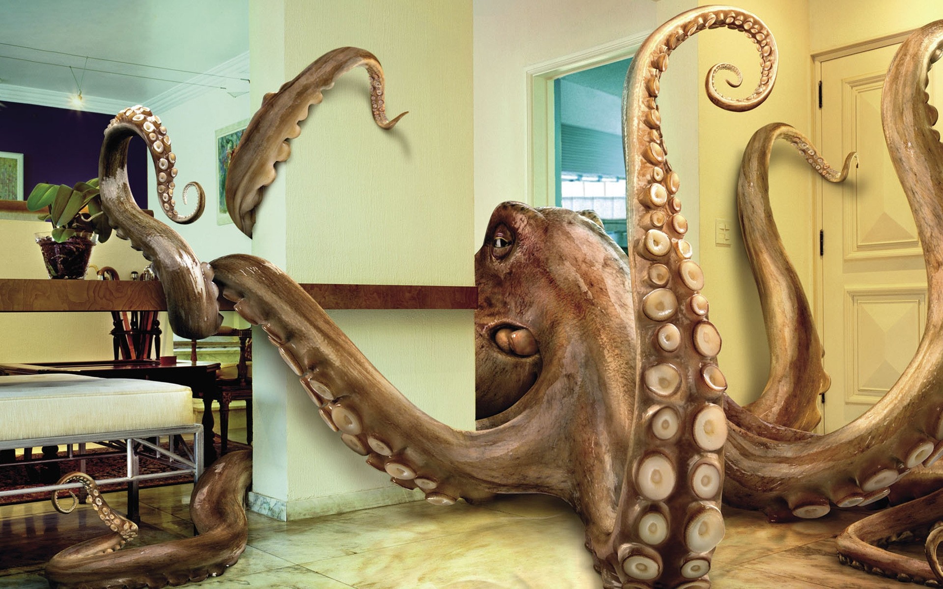 fotobearbeitung museum möbel holz dekoration skulptur drinnen alt kunst oktopus