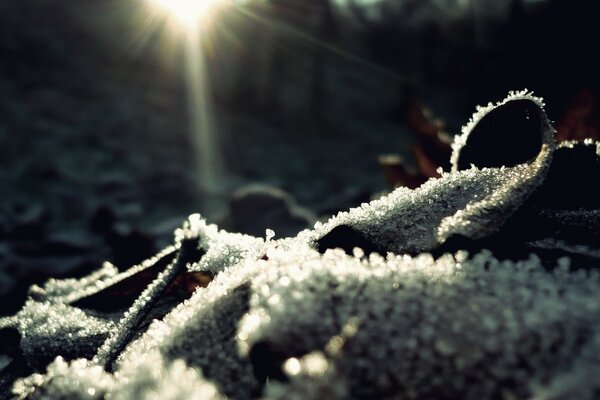 Winter frost and earth outdoors