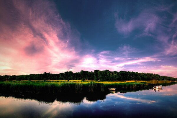 Dense forest on the shore of the lake against the background of the sunset sky