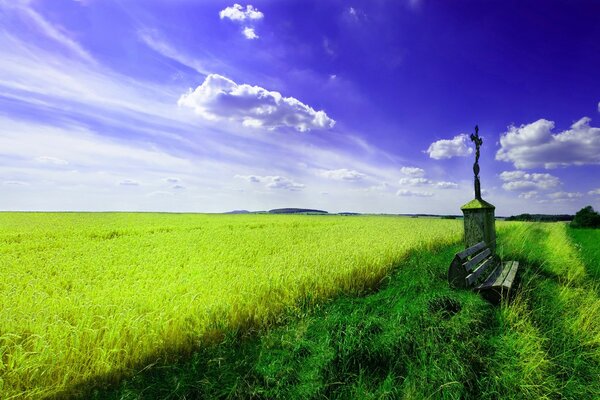 Beauty agricultural work on