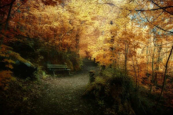 Herbstliche Landschaft mit Gehweg zur Bank