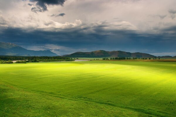 Grünes Feld auf Himmelshintergrund mit Wolken