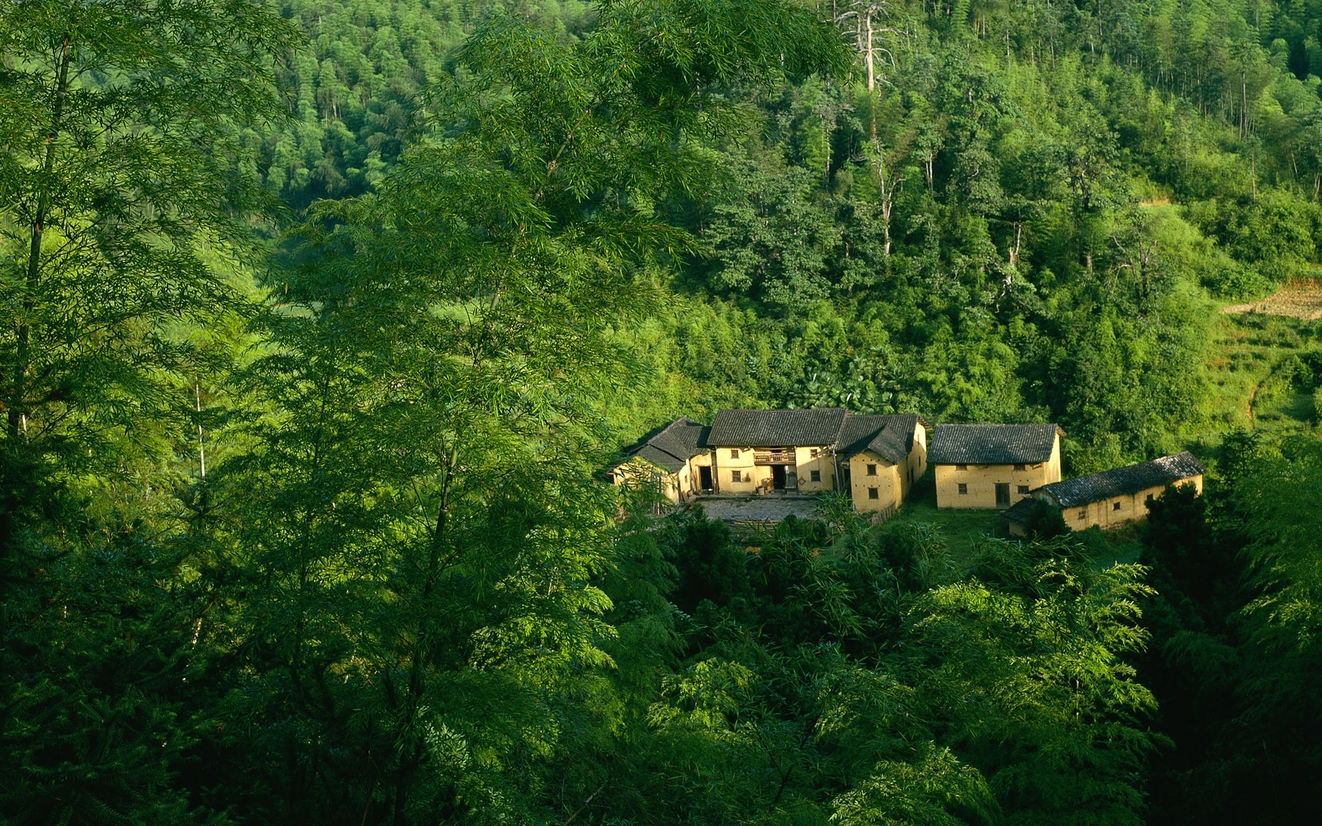 paesaggio legno albero paesaggio all aperto viaggi natura luce del giorno montagna scenic collina