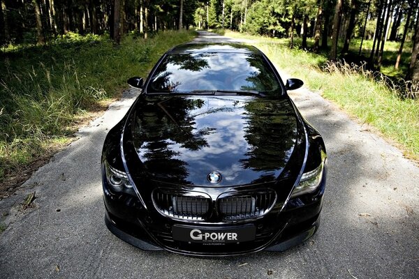 Carro Bmw fica na estrada na floresta