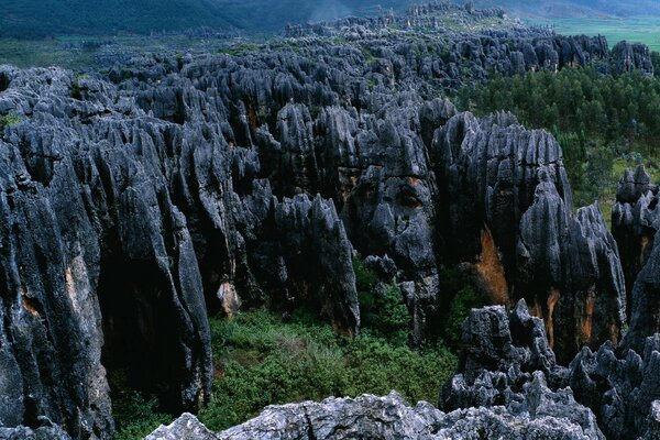 Les roches noires sont corrodées par le vent entouré de forêts