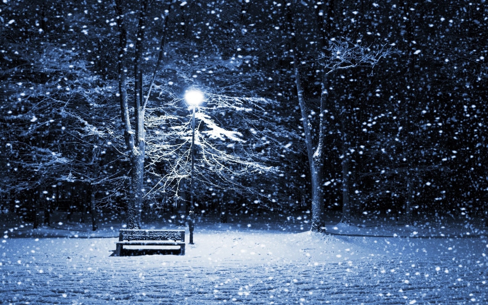 冬天 雪 自然 冷 季节 树 霜 冻结 冰 户外 天气 水 景观 景观 视图 背景