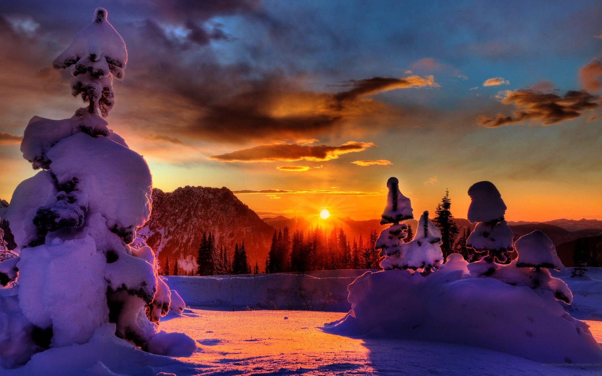 inverno tramonto acqua alba viaggi all aperto sera neve cielo crepuscolo spiaggia ragazza paesaggio adulto alberi sfondo paesaggio