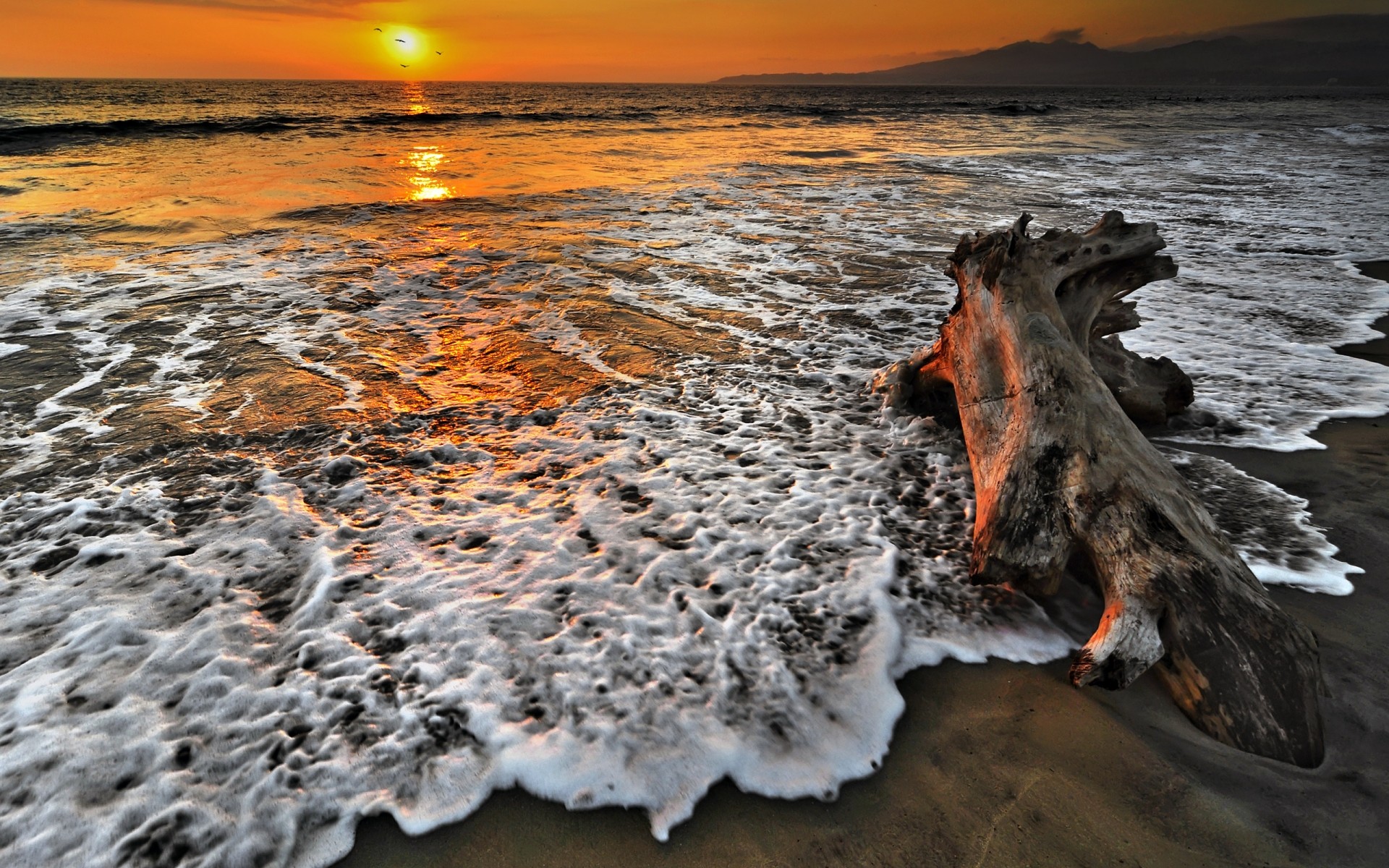 paisaje playa agua mar puesta de sol océano arena mar surf ola amanecer sol viajes naturaleza costa paisaje