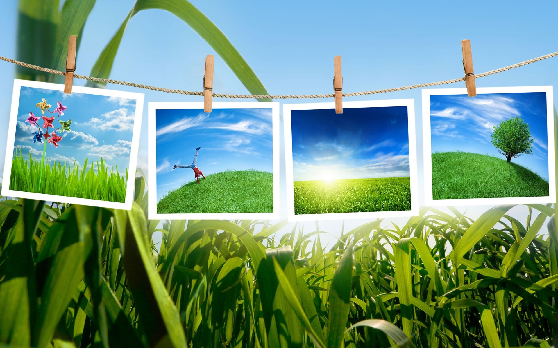 spring grass field hayfield lawn sky nature summer farm agriculture pasture landscape flora growth rural environment soil countryside ecology garden leaf frames