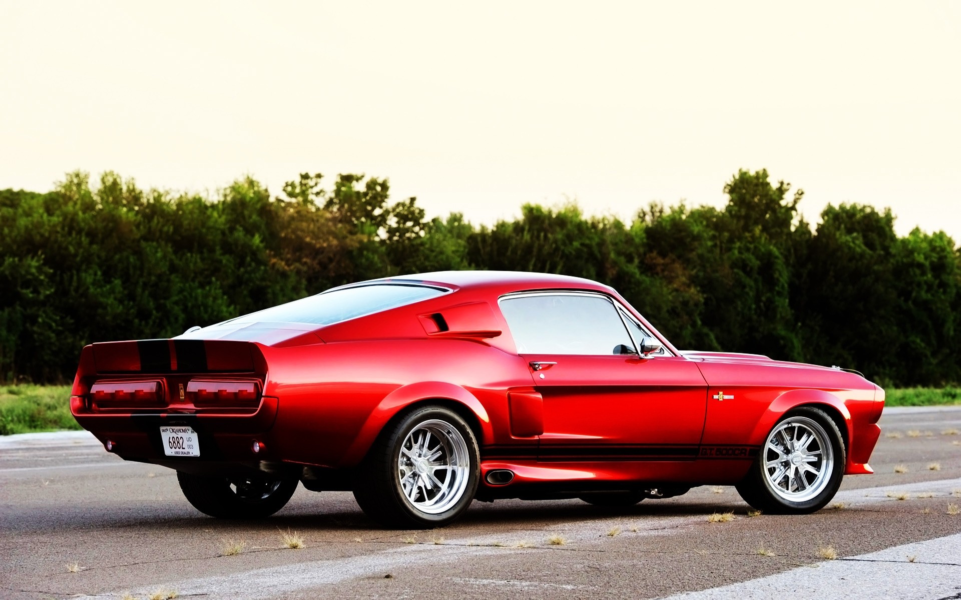 ford voiture voiture asphalte vite disque système de transport des véhicules à moteur roues trottoir dépêchez-vous noir shelby gt mustang gt ford mustang muscle voiture