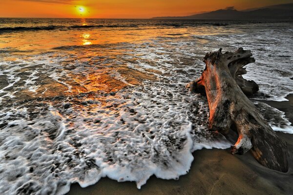 As ondas de espuma do mar ao pôr do sol banham a costa arenosa