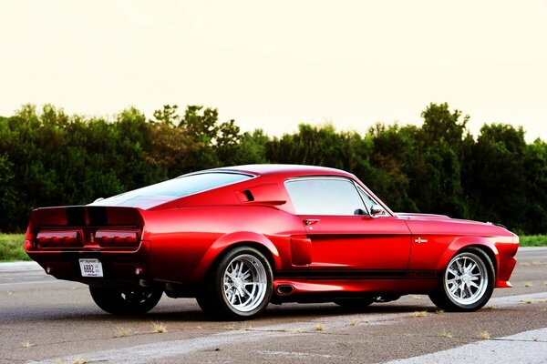 Fast ford car on asphalt