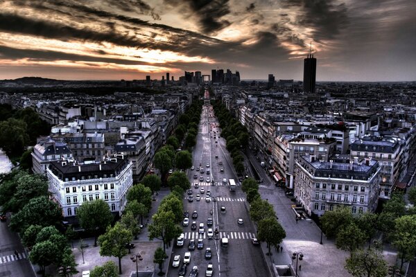 Parisian street bird s flight