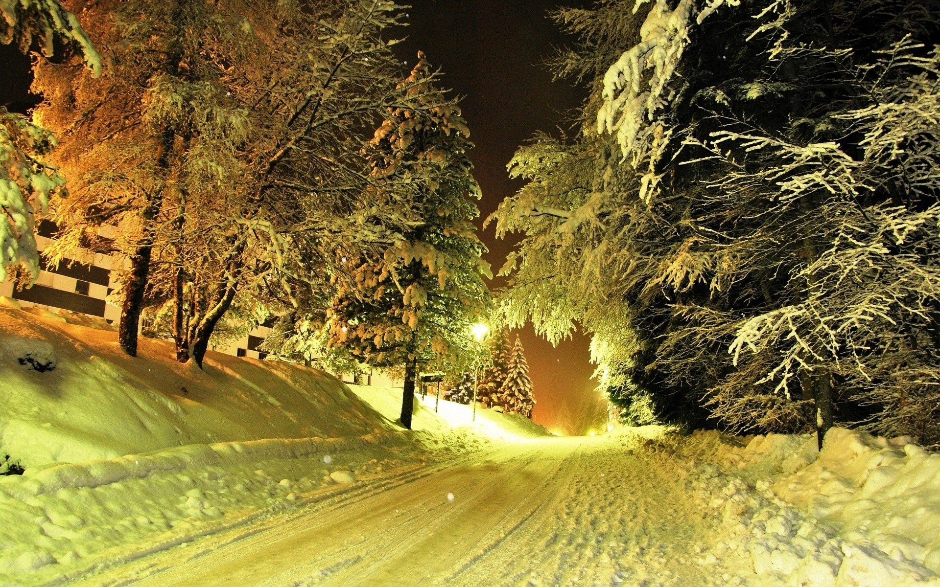 landscapes nature tree light travel wood outdoors landscape leaf road fall snow trees lights