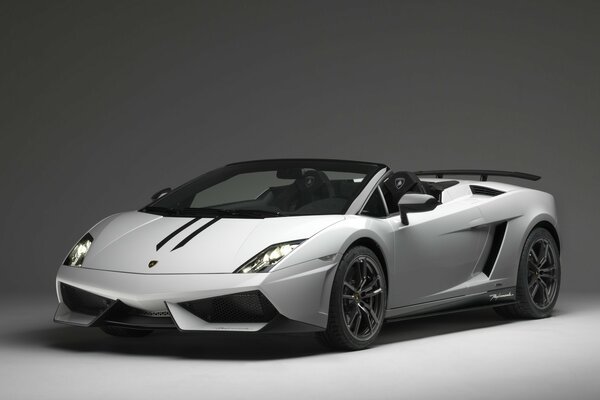 White lamborghini on a gray background