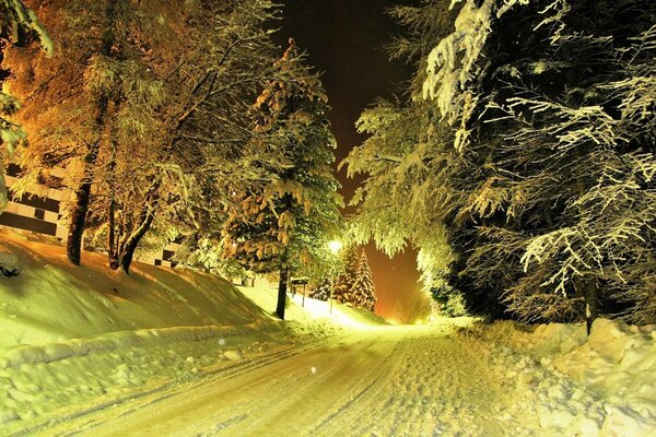 Winterwald, Autobahn