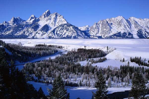 Sunny winter day in the mountains and snow-covered forest