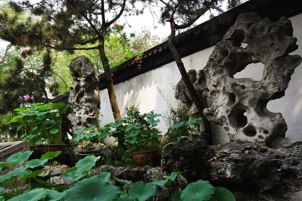 Chinese Garden Architecture