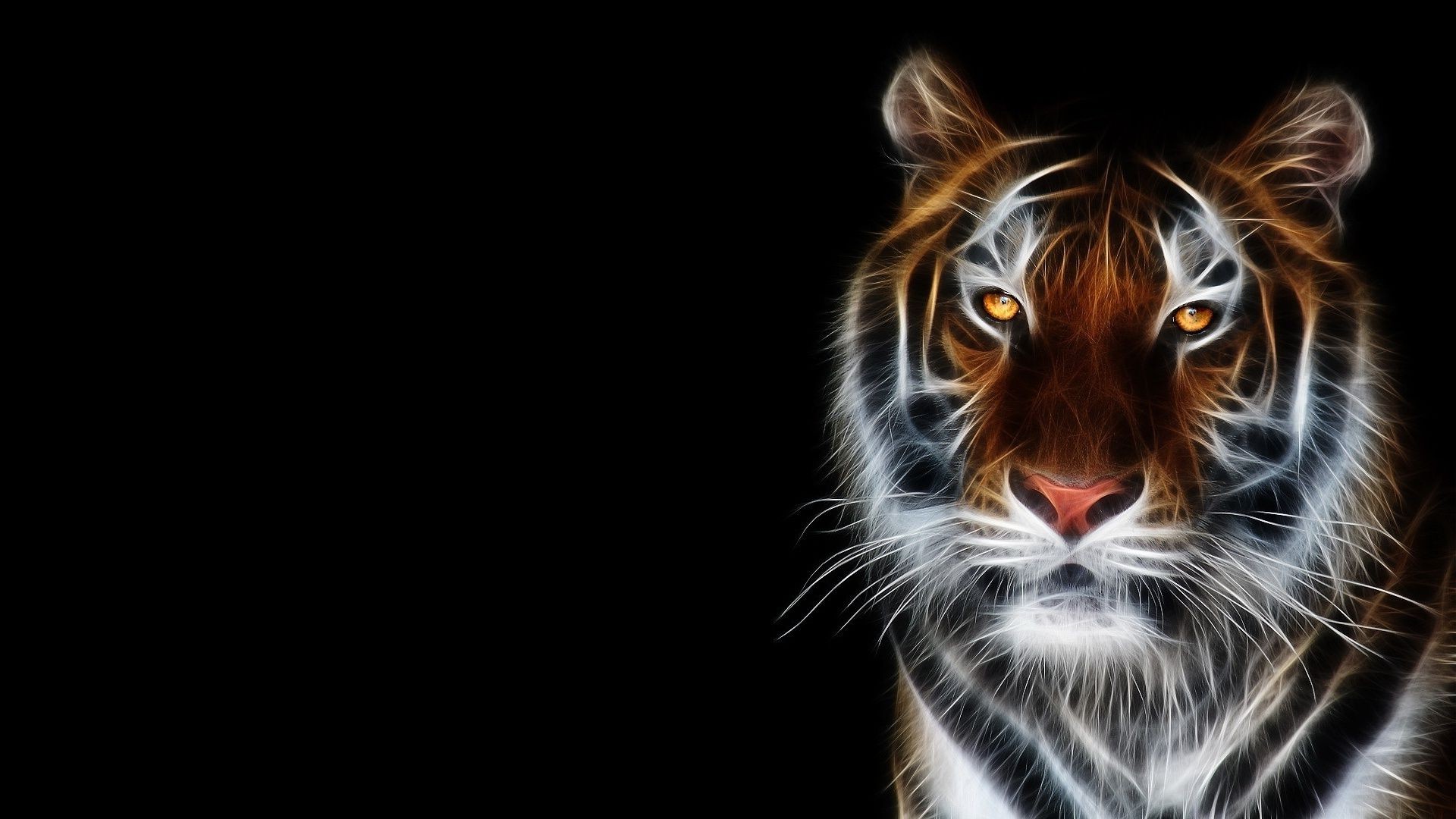 tigers desktop portrait animal