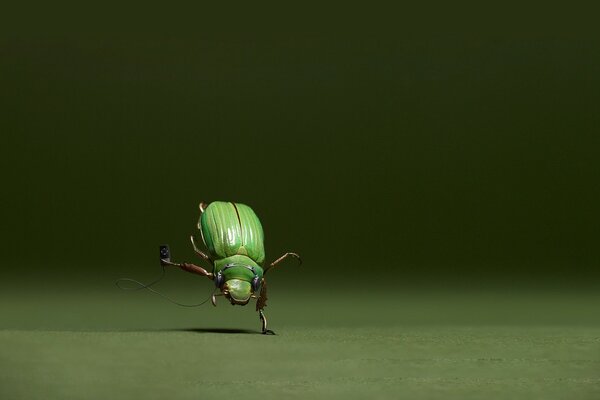 Elaborazione fotografica dello scarabeo in natura