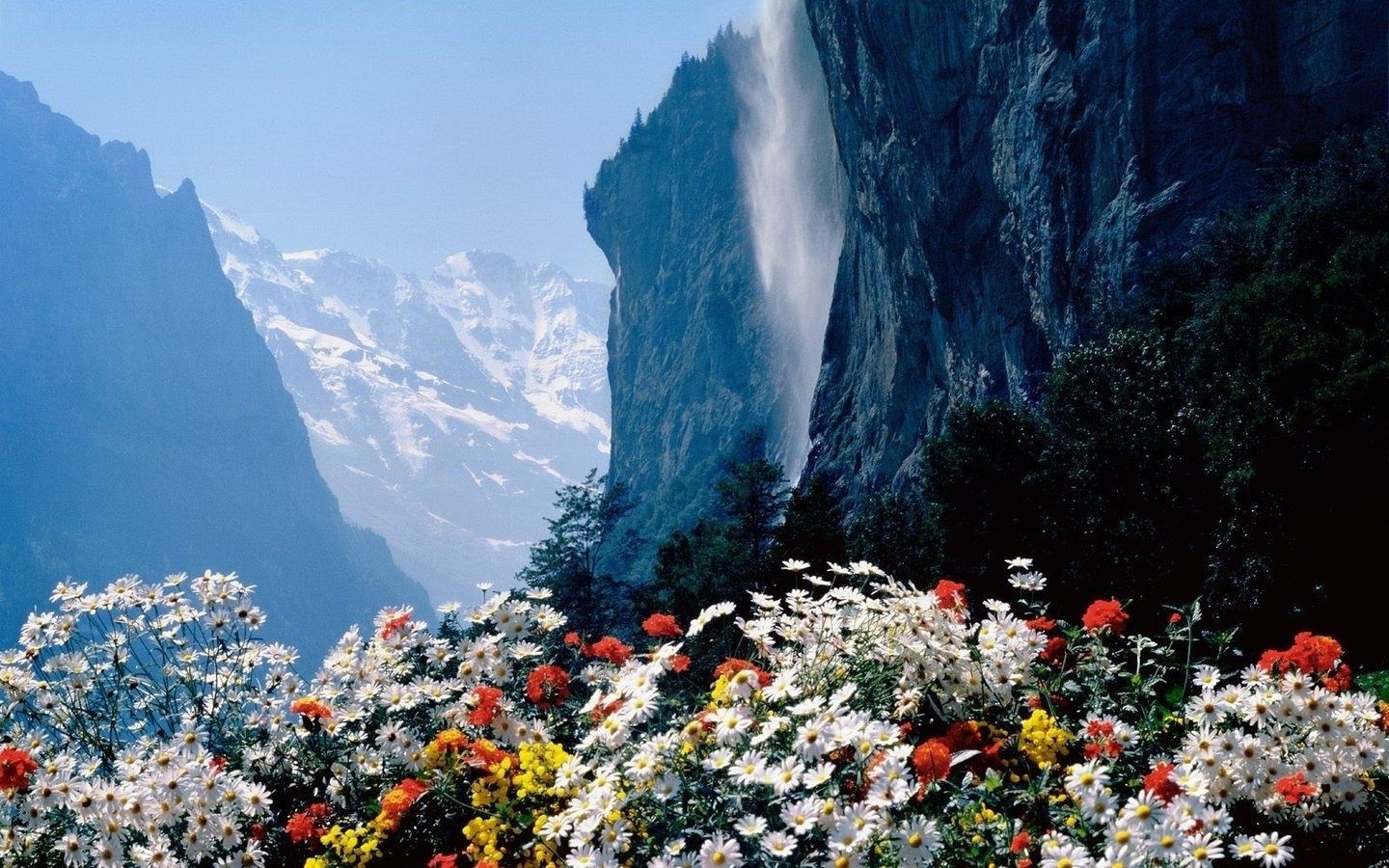 花卉 户外 旅游 景观 自然 山 日光 水 天空