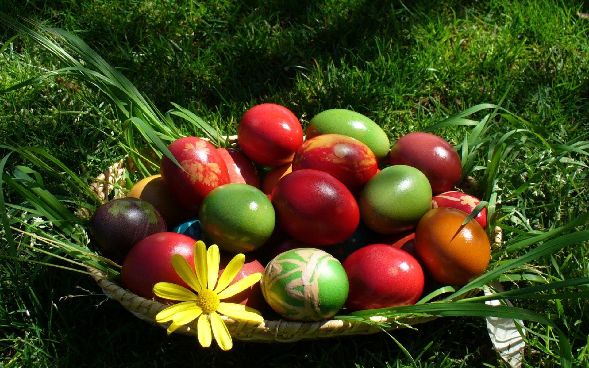 easter food grass garden nature leaf basket season decoration egg color