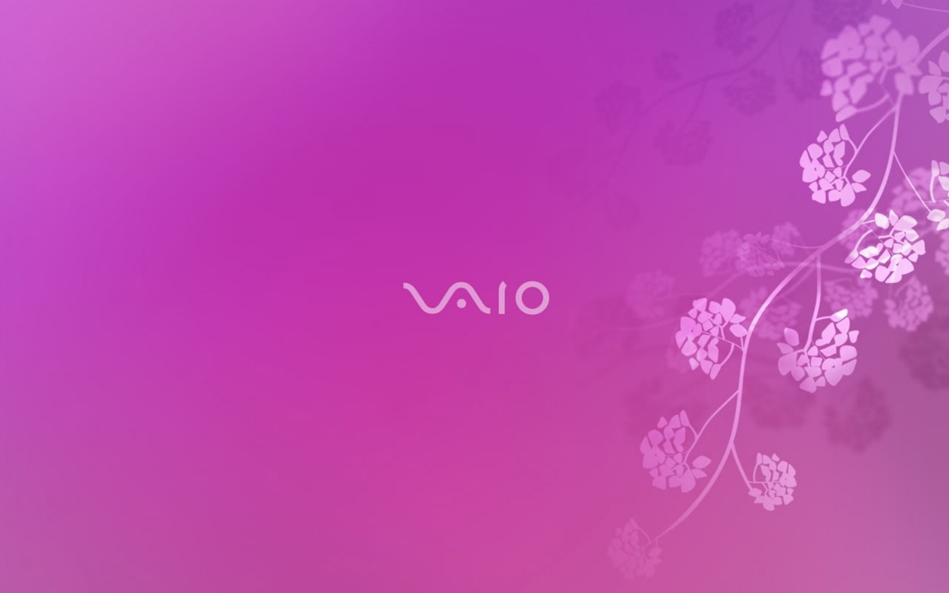 sony wallpaper abstract illustration pattern desktop decoration background graphic card art design violet elegant vector element texture flower color sony vaio