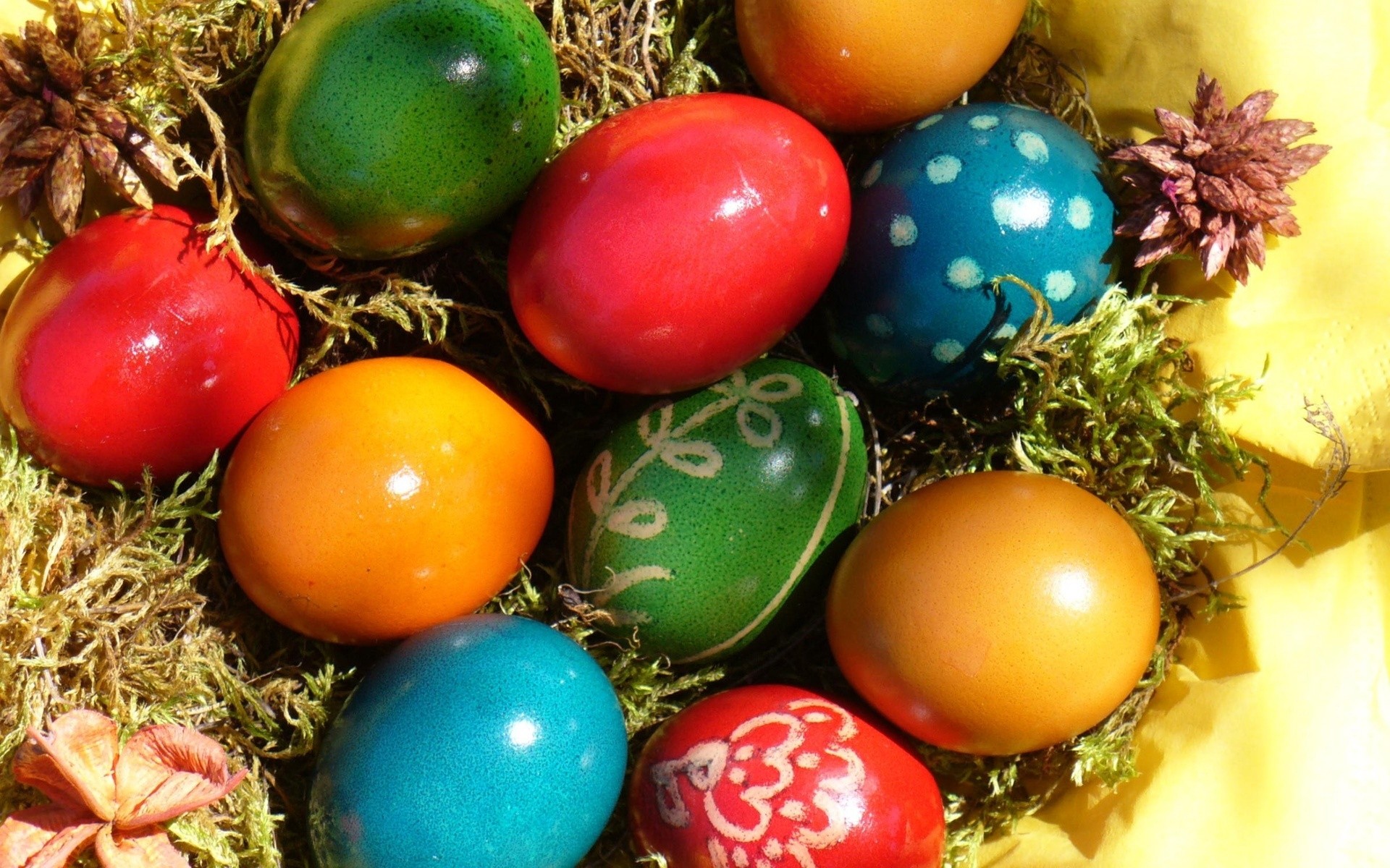 easter decoration egg celebration traditional shining nest food season color desktop christmas bright ornate winter