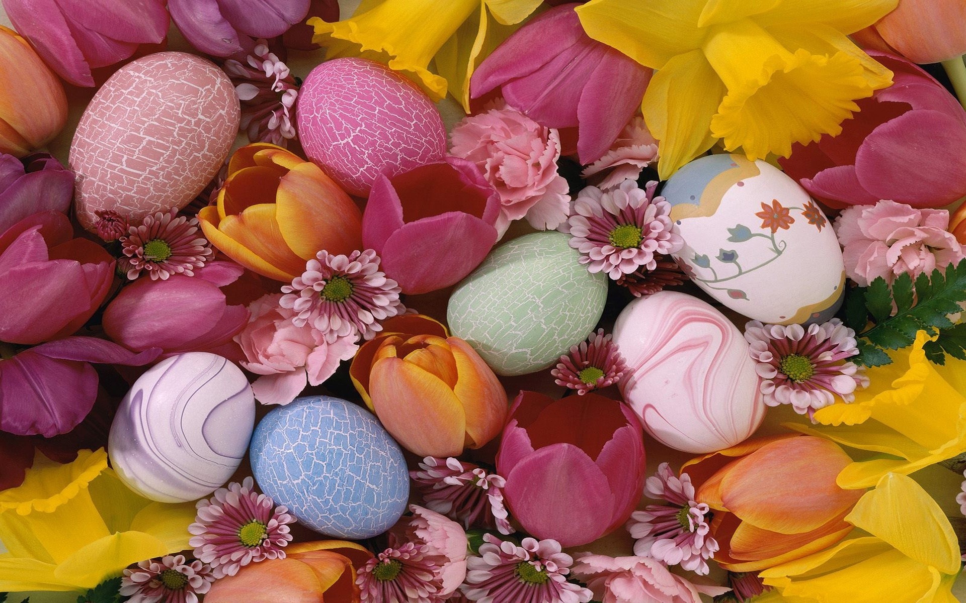 easter flower decoration floral bouquet color gift nature beautiful flora desktop love celebration bright