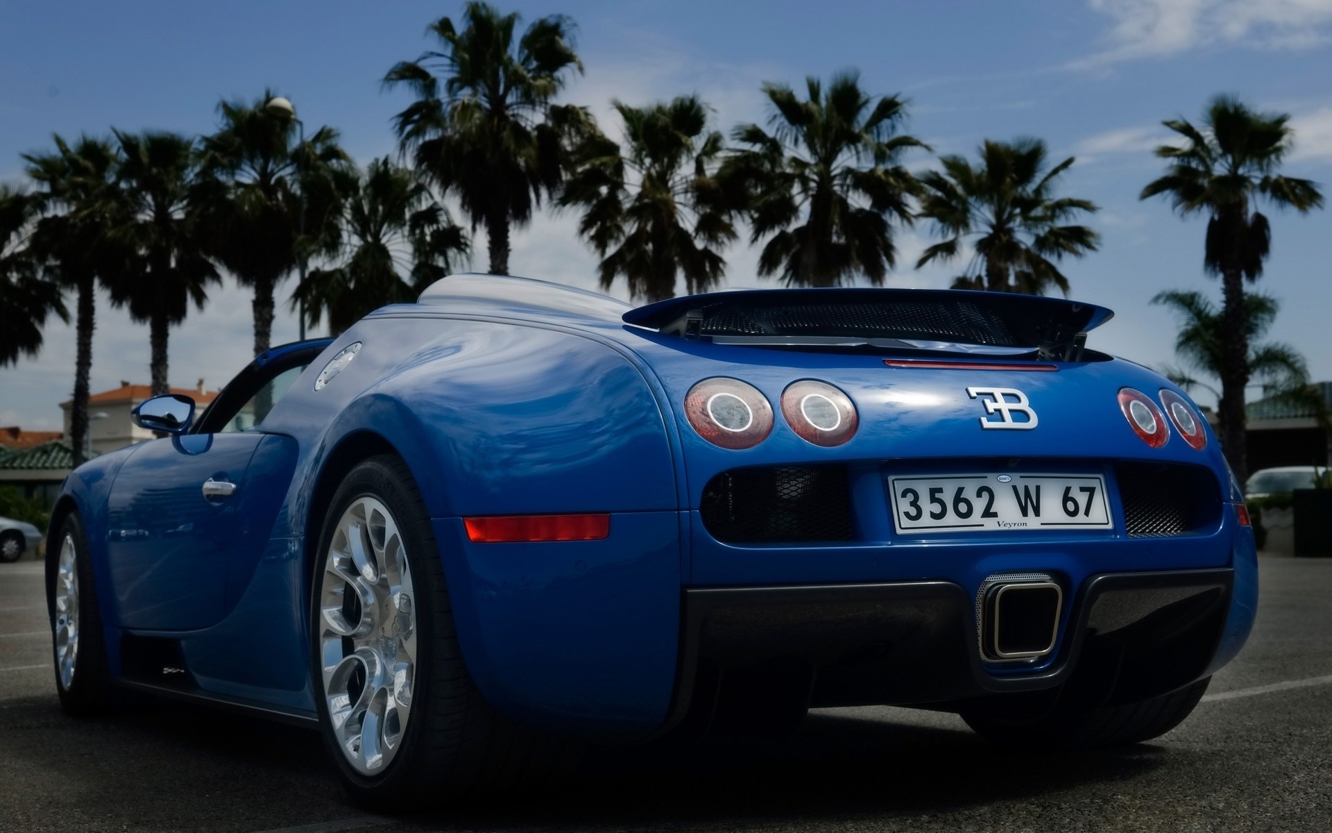 bugatti car vehicle transportation system race drive pavement wheel bugatti veyron